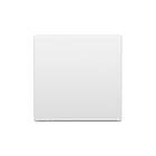 Extron Blank Plate Full-size Flex55 Module Full Size Blank Plate in White