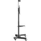 Multibrackets 2319 M Public Floorstand Basic 150|Monitor Trolley incl shelf & camera holder product image