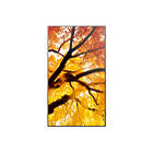 Sharp MultiSync M432 43 inch Large Format Display Front View product image