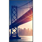 Sharp MultiSync ME432 65 inch Large Format Display product image